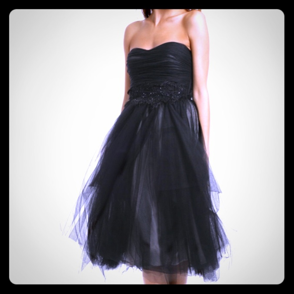Robert Rodriguez size 2